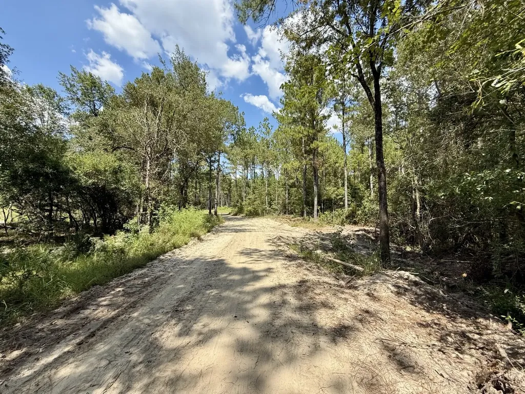 0 County Road 64 Robertsdale AL 36507