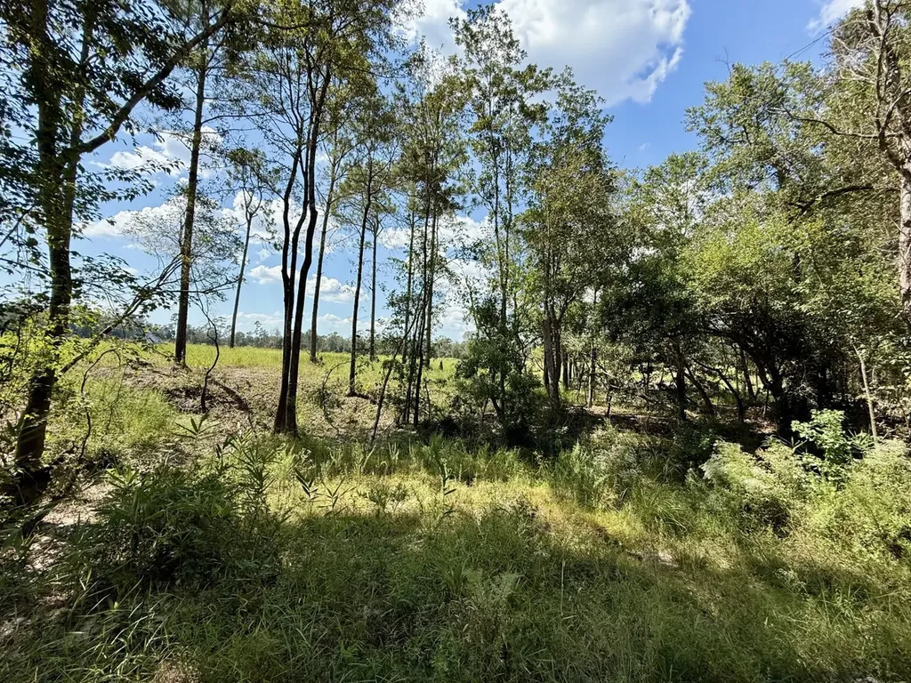 0 County Road 64 Robertsdale AL 36507