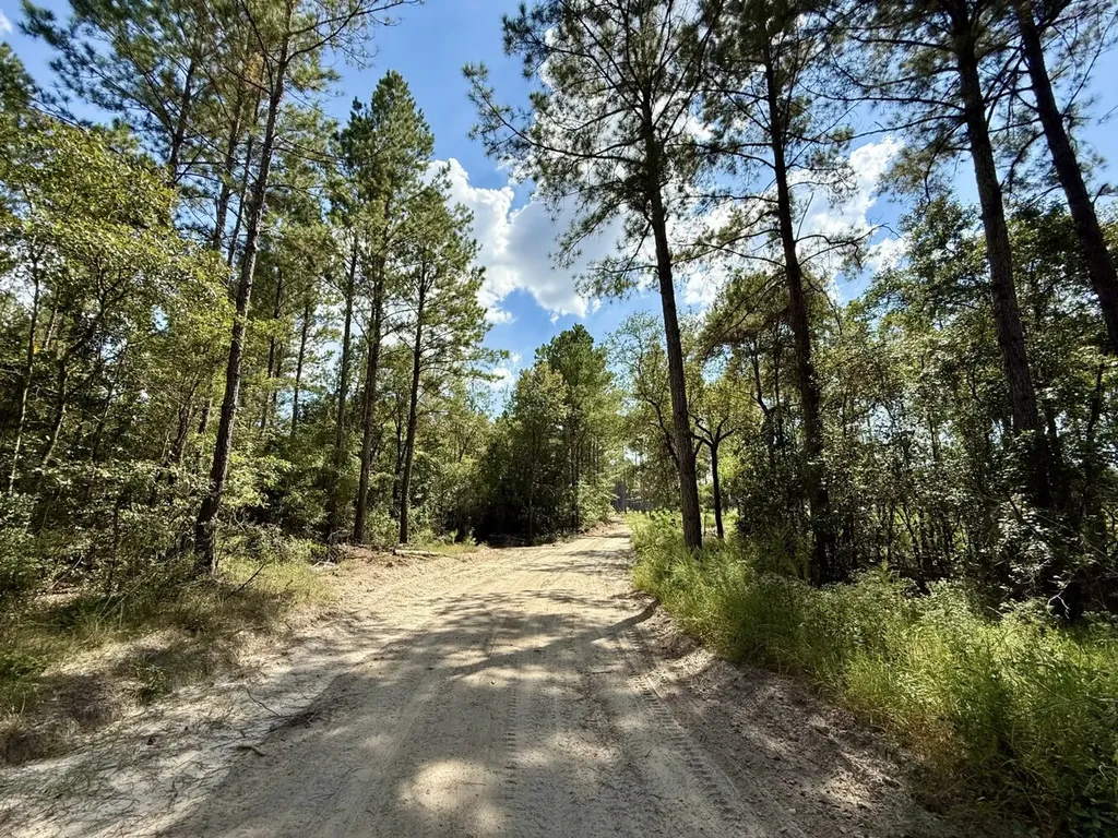 0 County Road 64 Robertsdale AL 36507