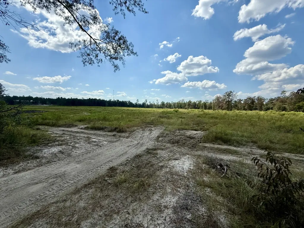 0 County Road 64 Robertsdale AL 36507