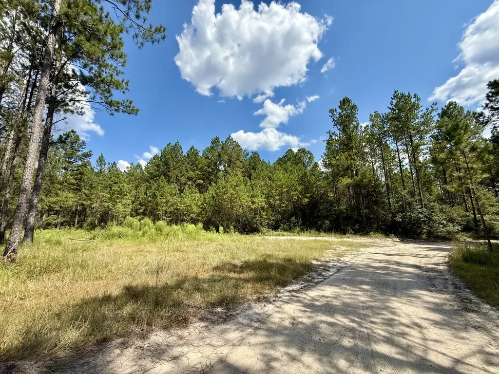 0 County Road 64 Robertsdale AL 36507