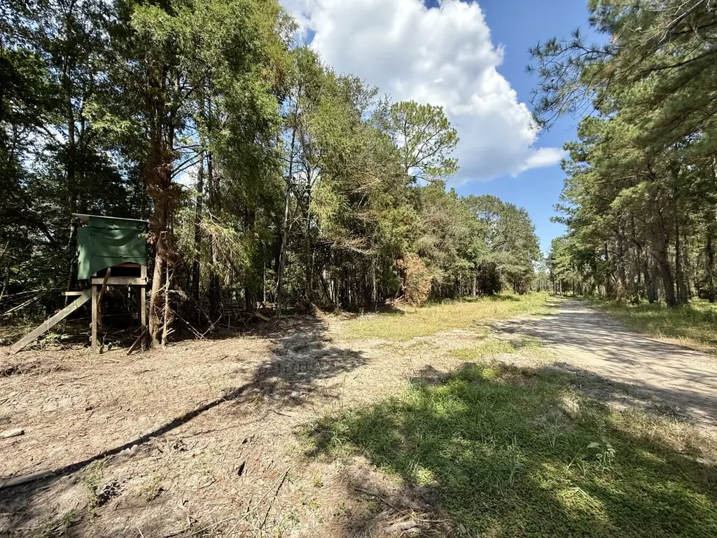 0 County Road 64 Robertsdale AL 36507