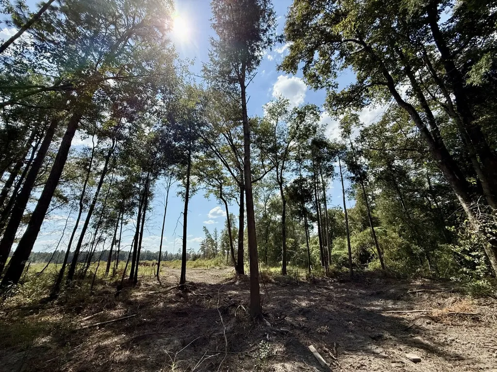 0 County Road 64 Robertsdale AL 36507