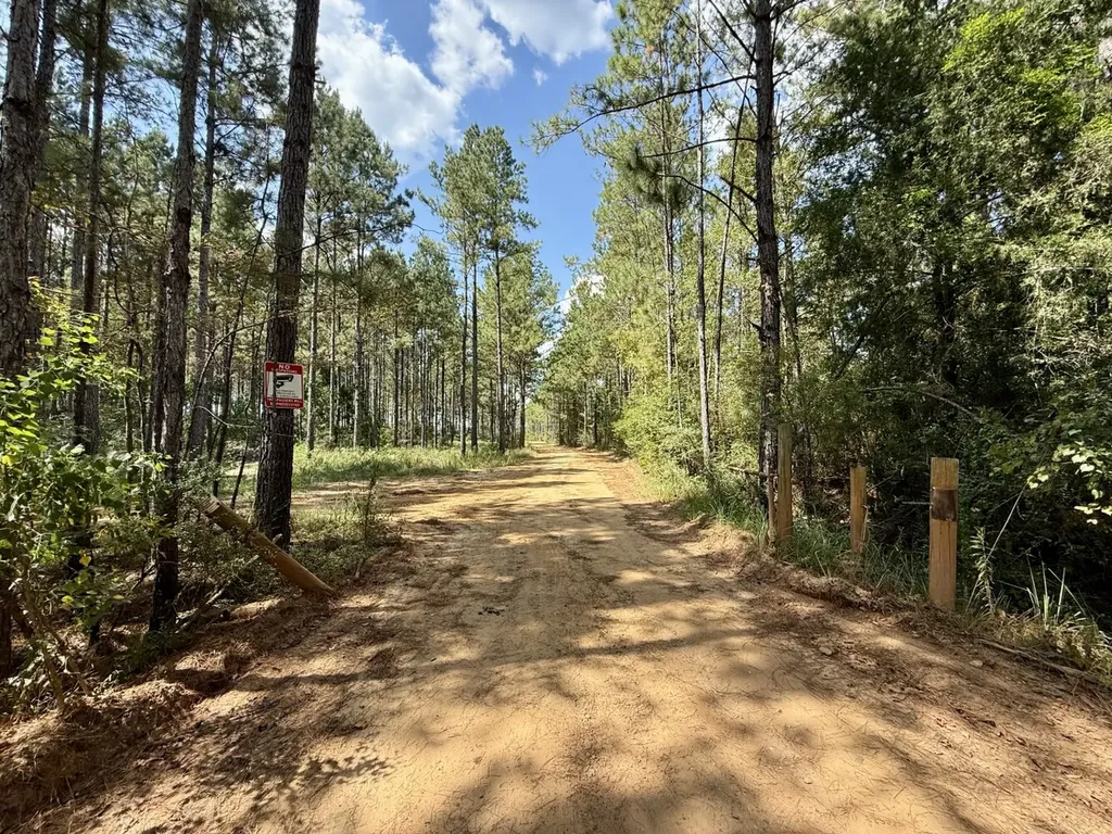 0 County Road 64 Robertsdale AL 36507