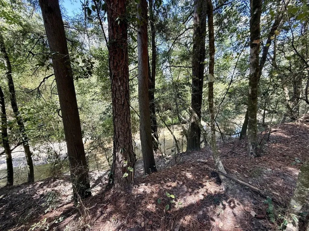 0 County Road 64 Robertsdale AL 36507