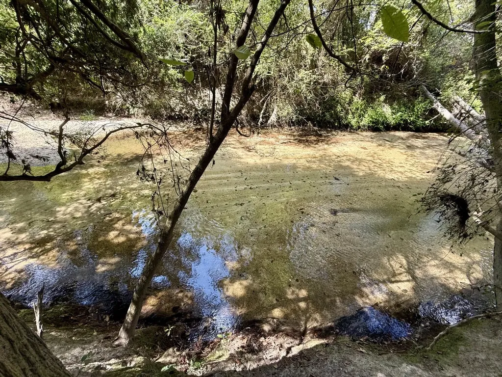 0 County Road 64 Robertsdale AL 36507