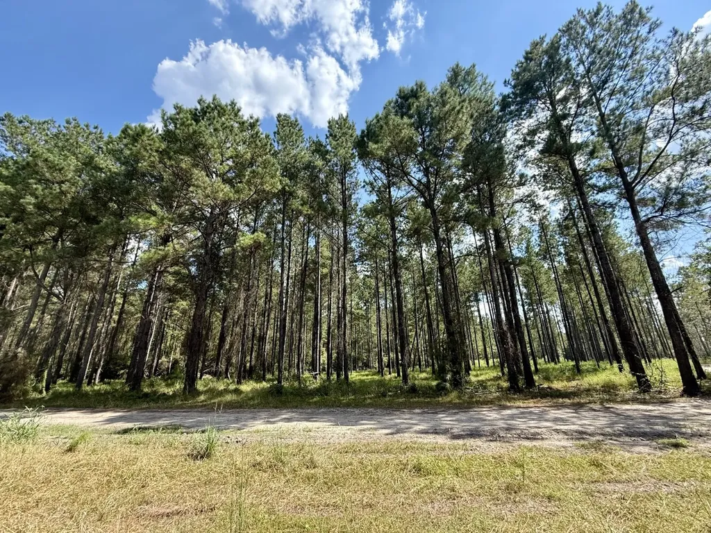 0 County Road 64 Robertsdale AL 36507