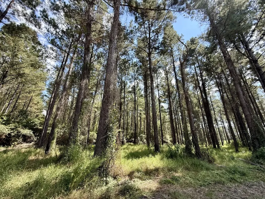 0 County Road 64 Robertsdale AL 36507