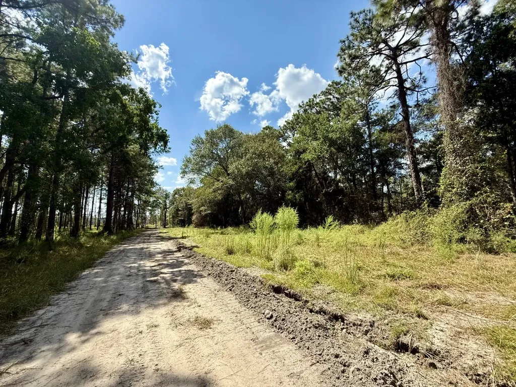 0 County Road 64 Robertsdale AL 36507