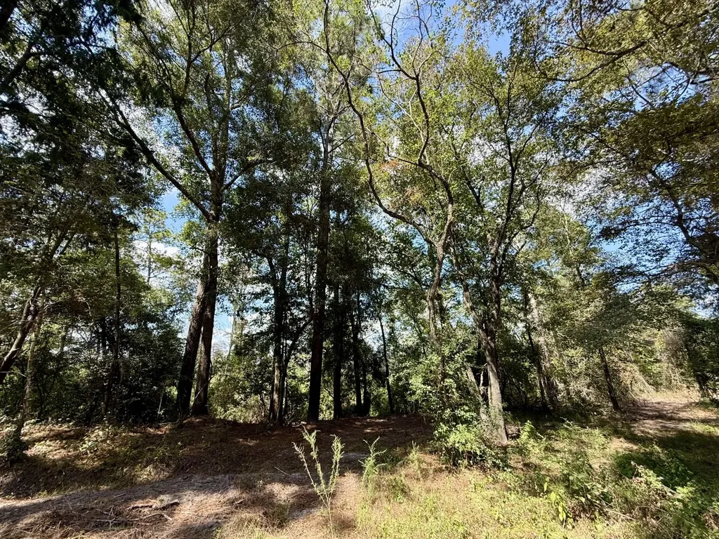 0 County Road 64 Robertsdale AL 36507