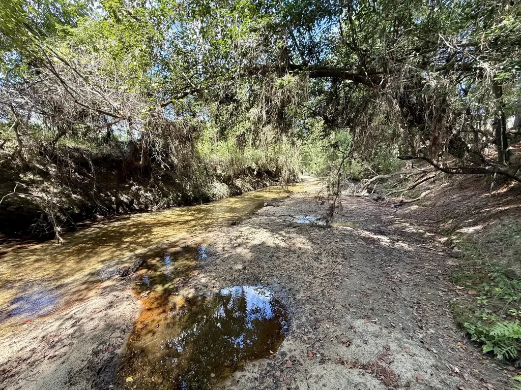 0 County Road 64 Robertsdale AL 36507