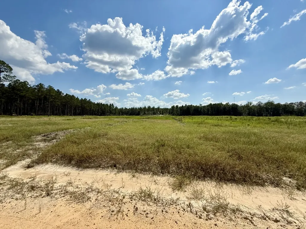 0 County Road 64 Robertsdale AL 36507