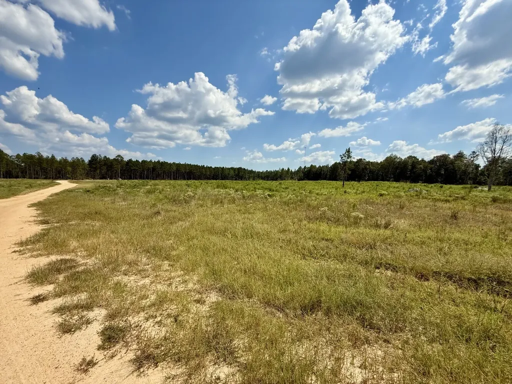 0 County Road 64 Robertsdale AL 36507