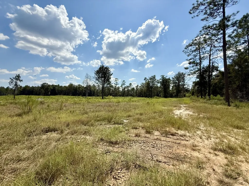 0 County Road 64 Robertsdale AL 36507