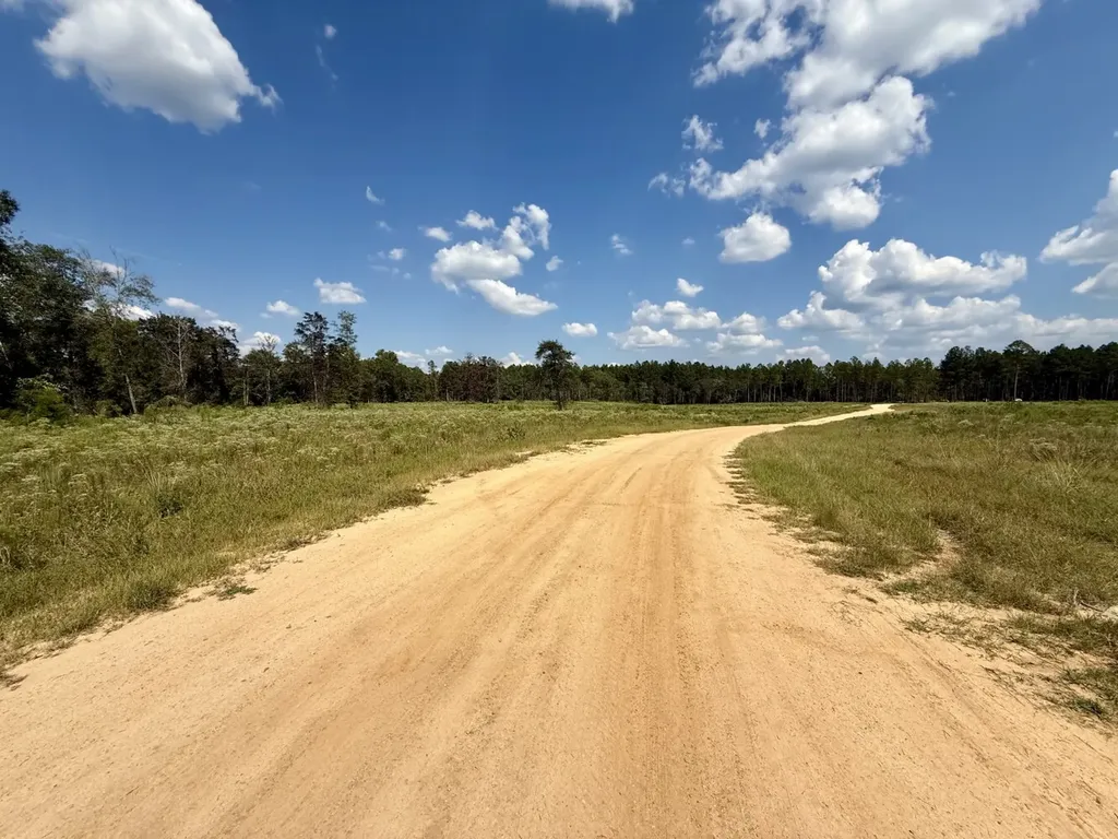 0 County Road 64 Robertsdale AL 36507