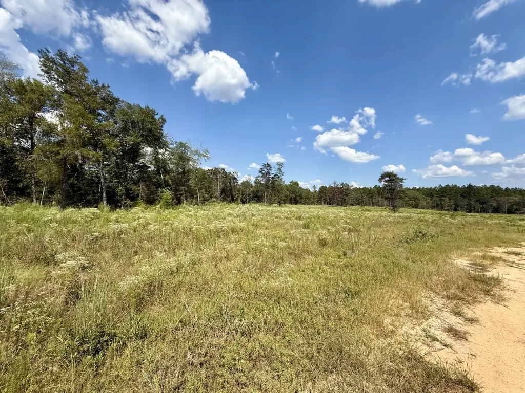 0 County Road 64 Robertsdale AL 36507