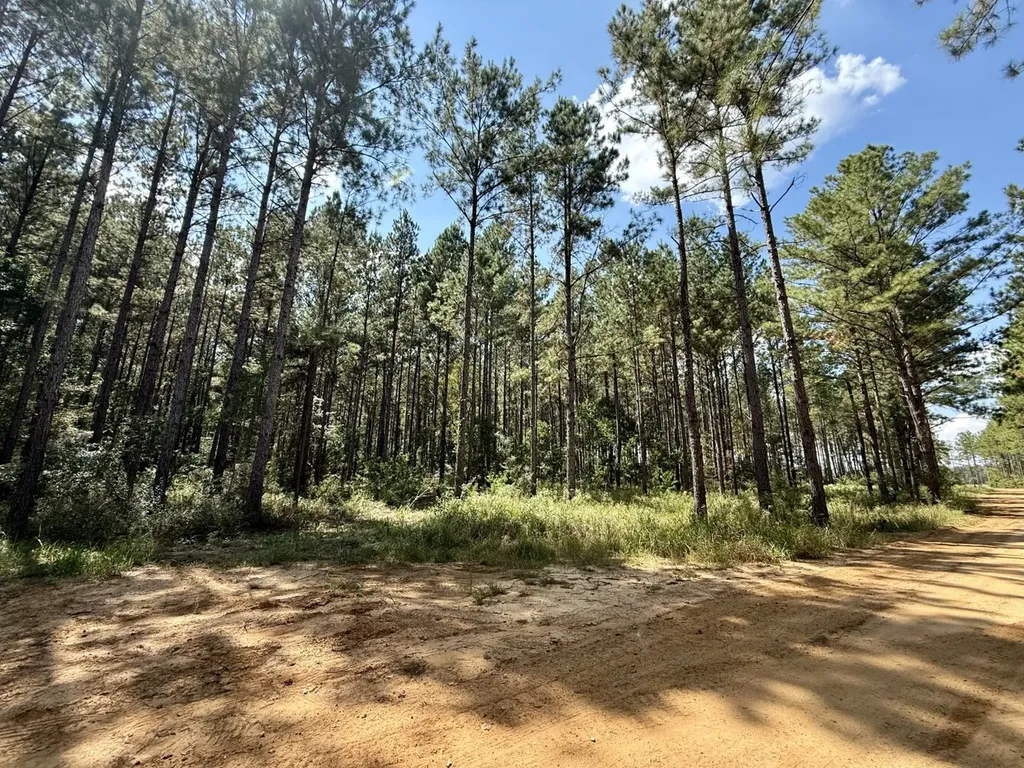 0 County Road 64 Robertsdale AL 36507