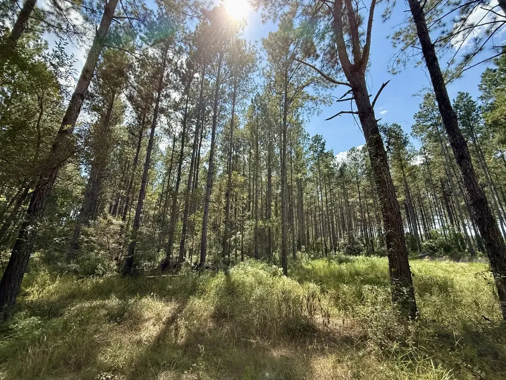 0 County Road 64 Robertsdale AL 36507