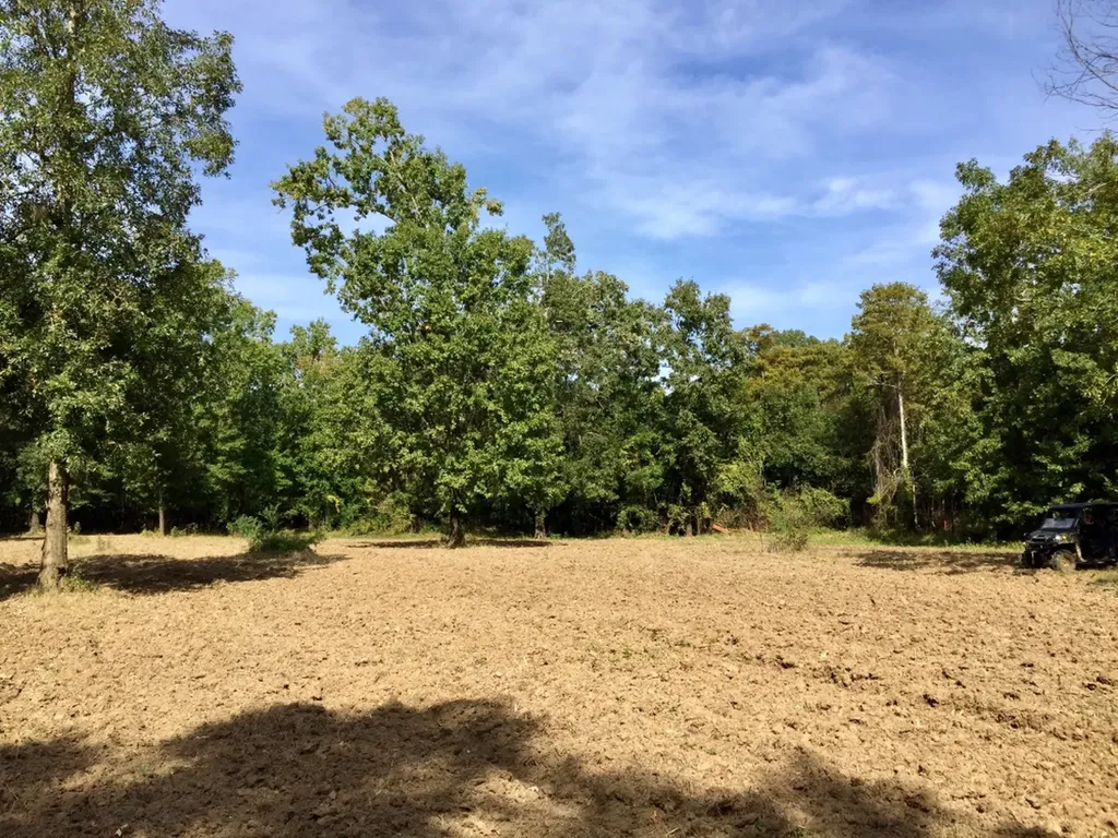 0 Private Road Off Bolen Town Rod Jackson AL 36545