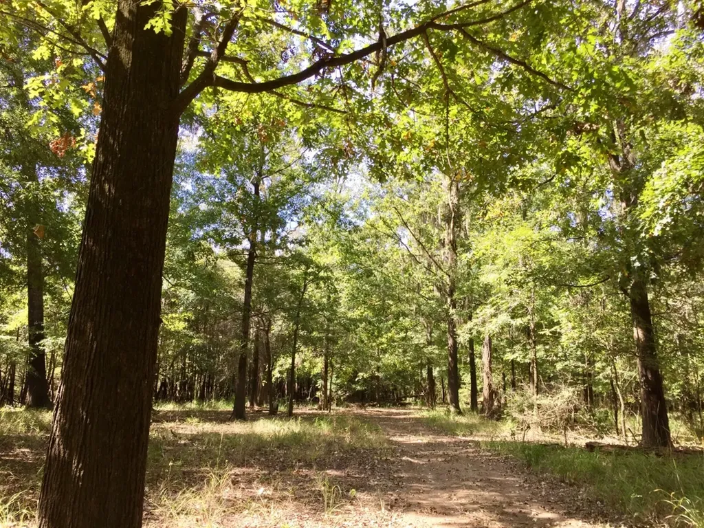 0 Private Road Off Bolen Town Rod Jackson AL 36545