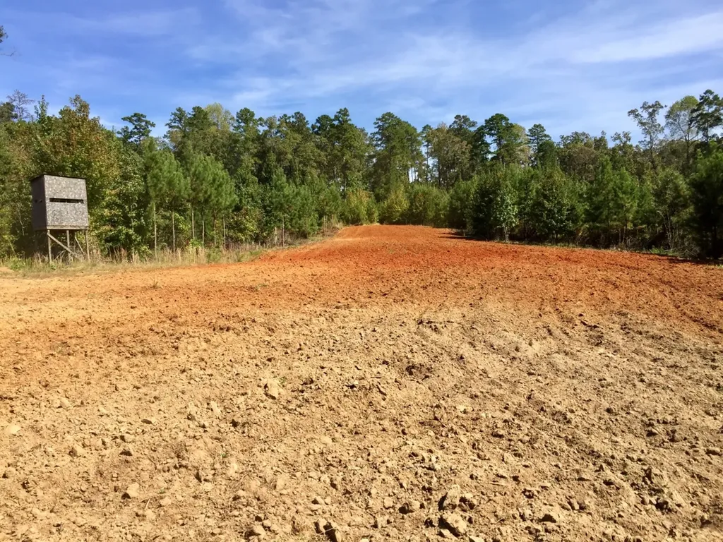 0 Private Road Off Bolen Town Rod Jackson AL 36545