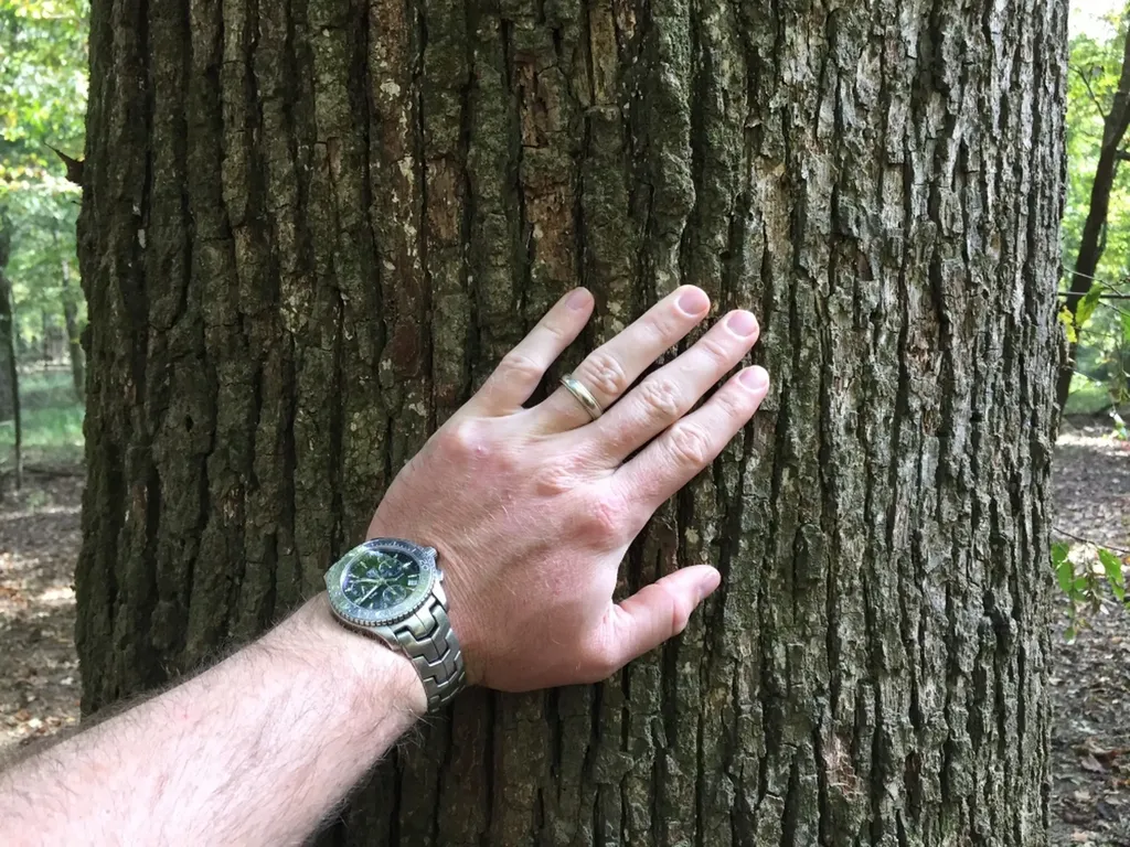 0 Private Road Off Bolen Town Rod Jackson AL 36545