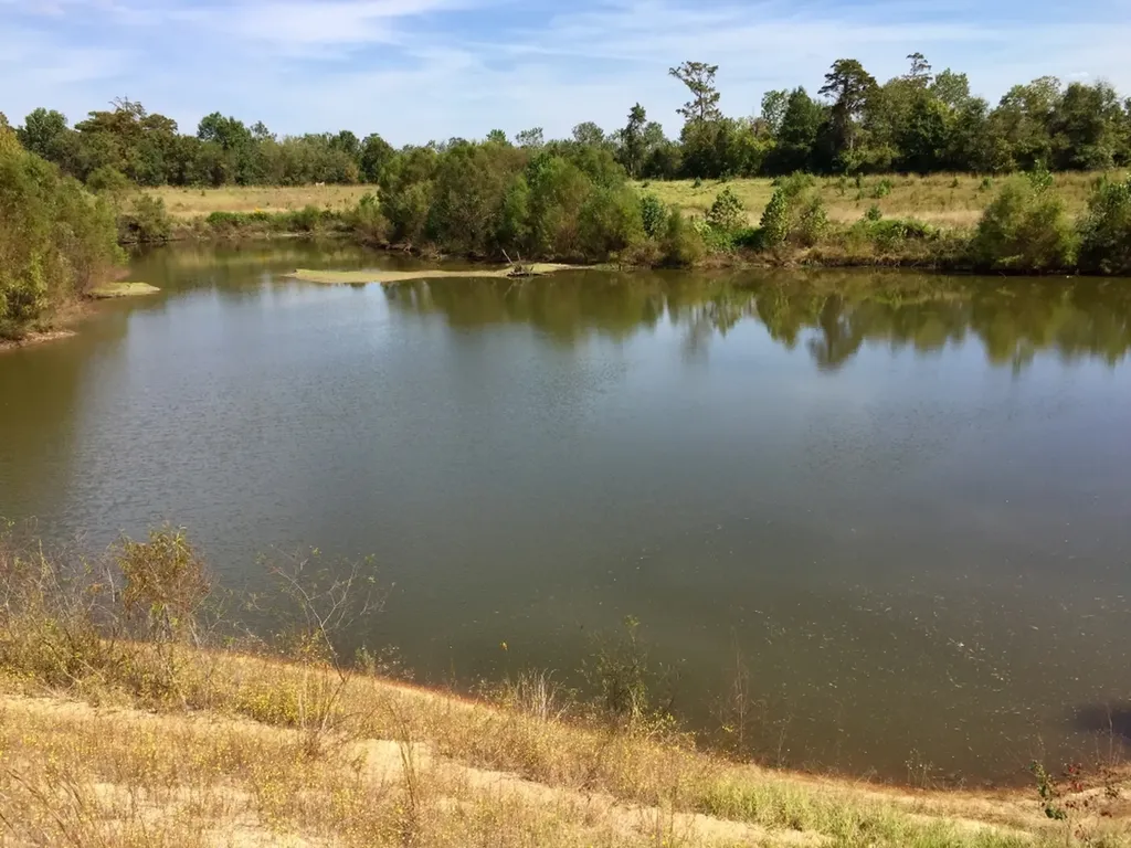 0 Private Road Off Bolen Town Rod Jackson AL 36545