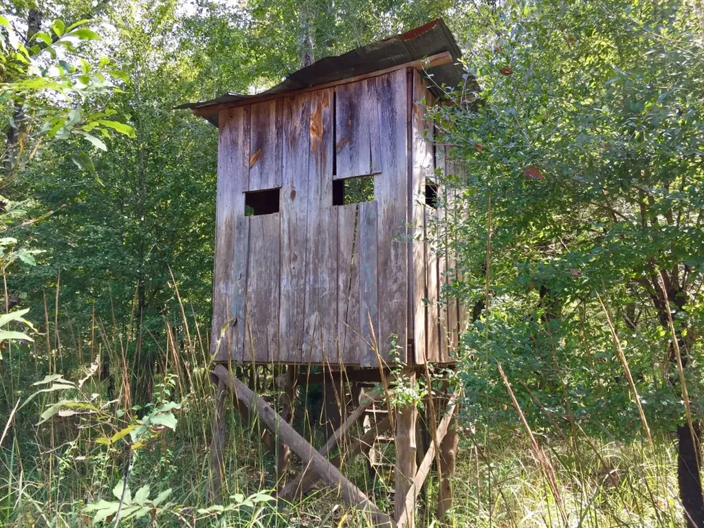 0 Private Road Off Bolen Town Rod Jackson AL 36545