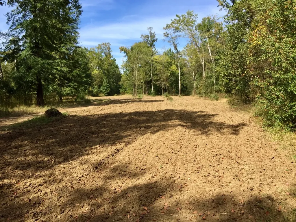 0 Private Road Off Bolen Town Rod Jackson AL 36545