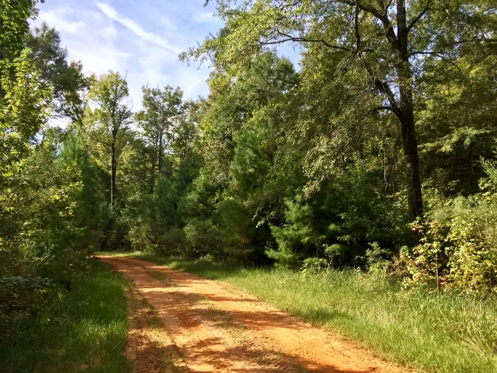0 Private Road Off Bolen Town Rod Jackson AL 36545
