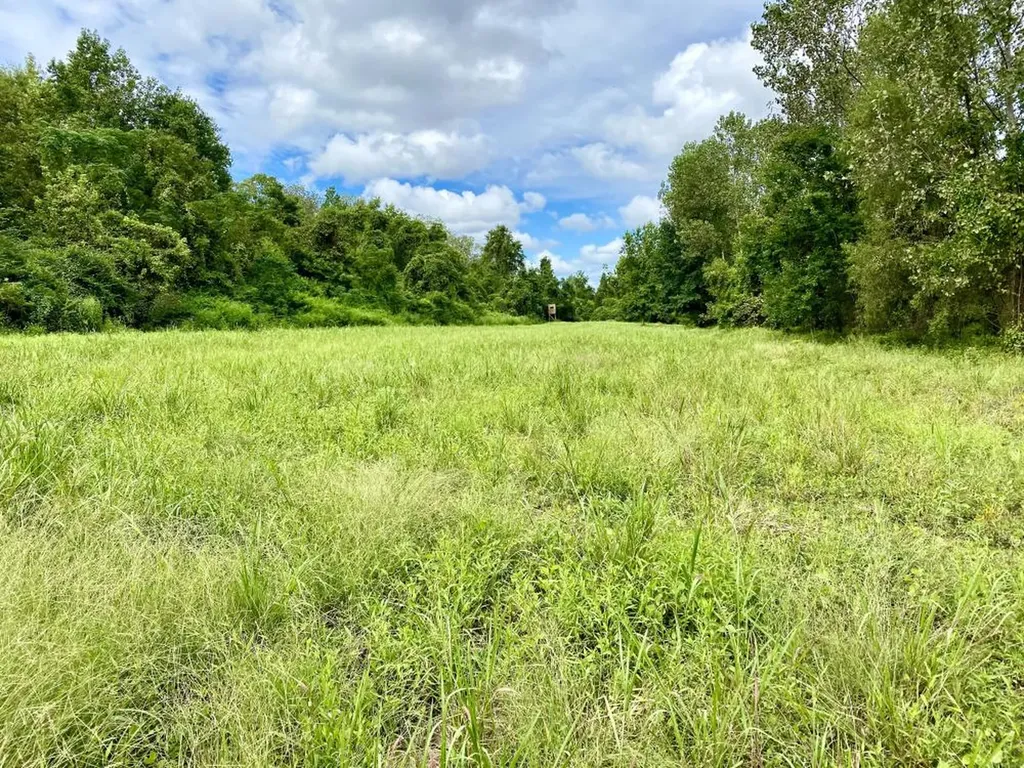 0 Private Road Off Bolen Town Rod Jackson AL 36545