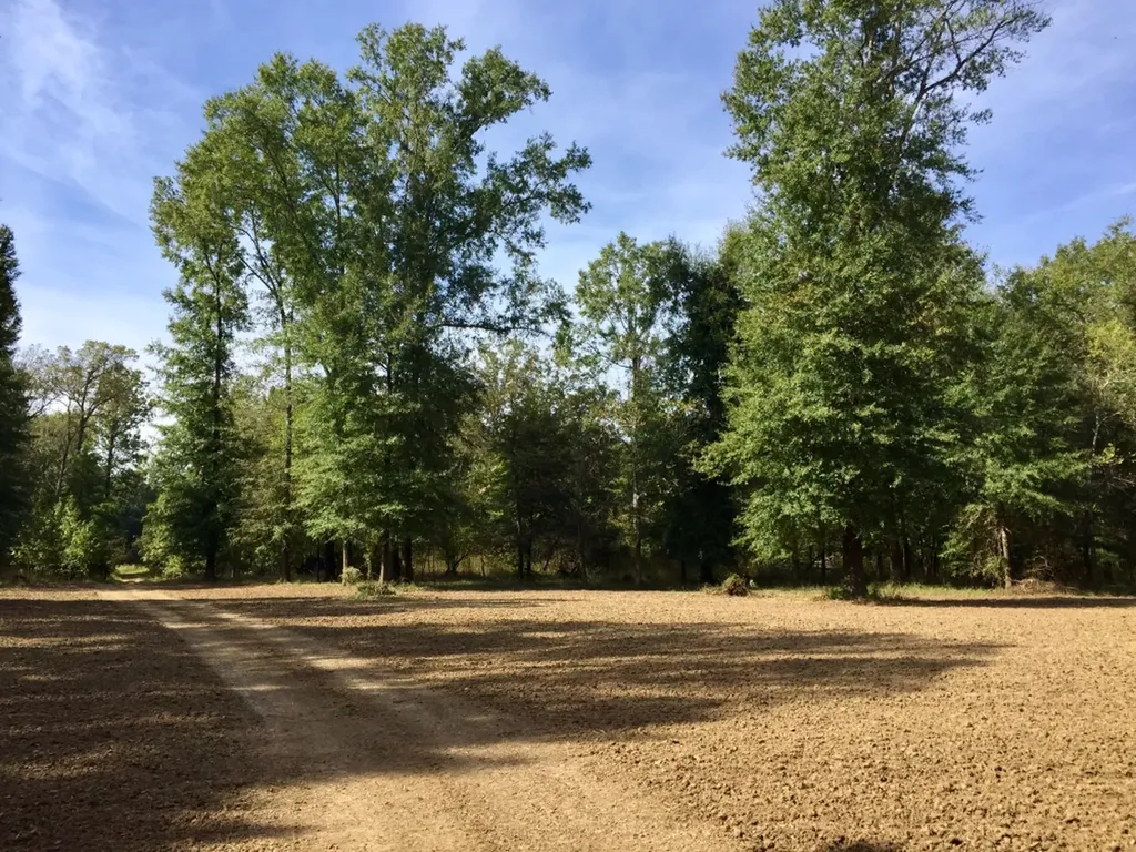 0 Private Road Off Bolen Town Rod Jackson AL 36545