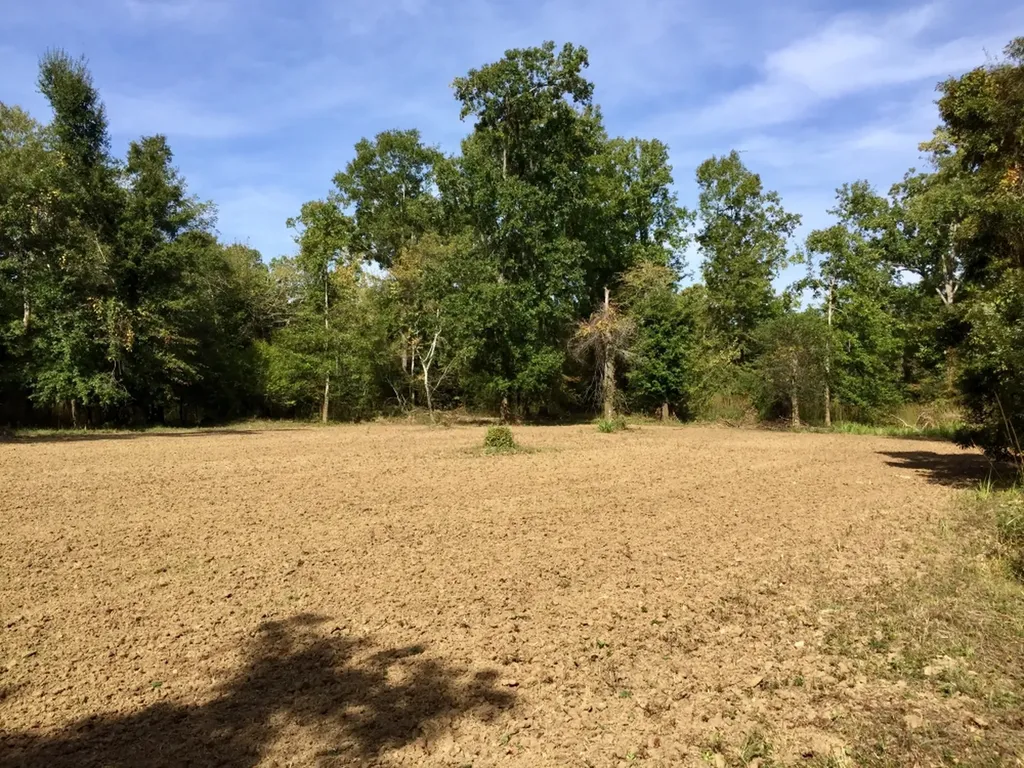 0 Private Road Off Bolen Town Rod Jackson AL 36545