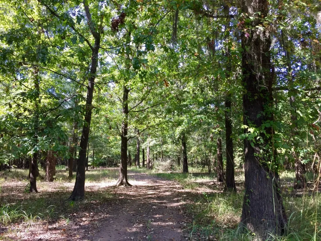 0 Private Road Off Bolen Town Rod Jackson AL 36545