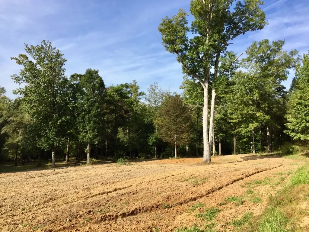 0 Private Road Off Bolen Town Rod Jackson AL 36545