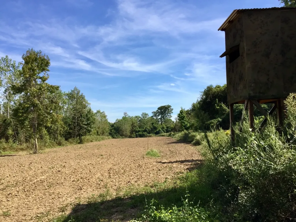 0 Private Road Off Bolen Town Rod Jackson AL 36545