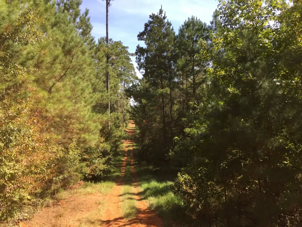 0 Private Road Off Bolen Town Rod Jackson AL 36545