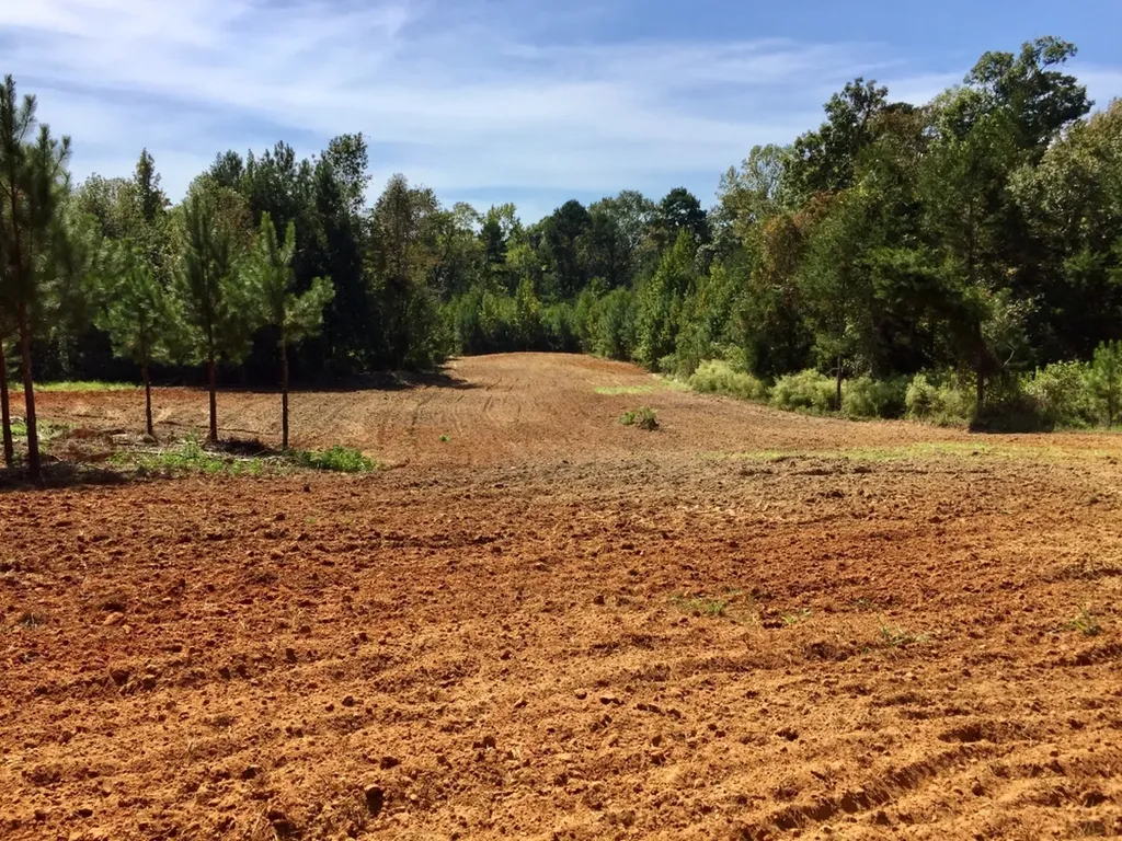 0 Private Road Off Bolen Town Rod Jackson AL 36545