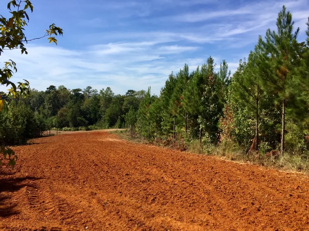 0 Private Road Off Bolen Town Rod Jackson AL 36545