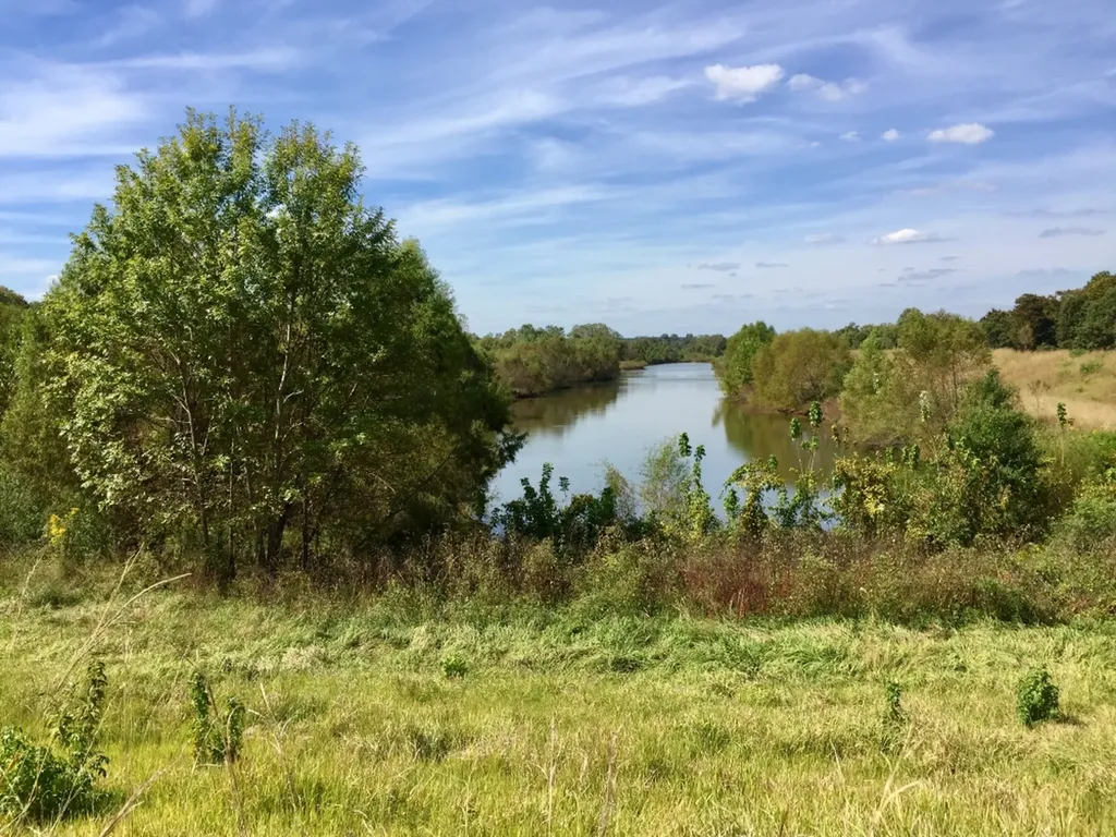 0 Private Road Off Bolen Town Rod Jackson AL 36545