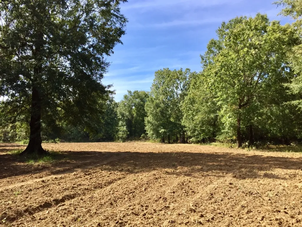 0 Private Road Off Bolen Town Rod Jackson AL 36545