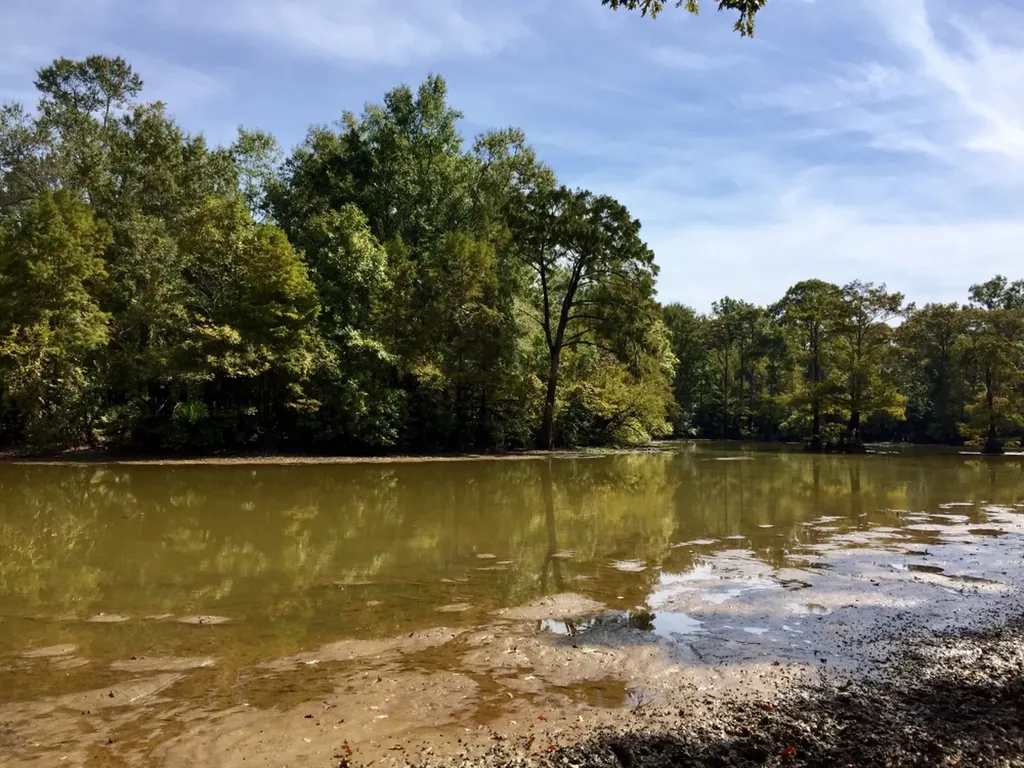 0 Private Road Off Bolen Town Rod Jackson AL 36545