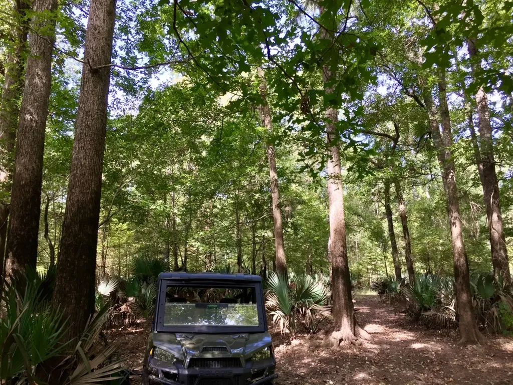 0 Private Road Off Bolen Town Rod Jackson AL 36545