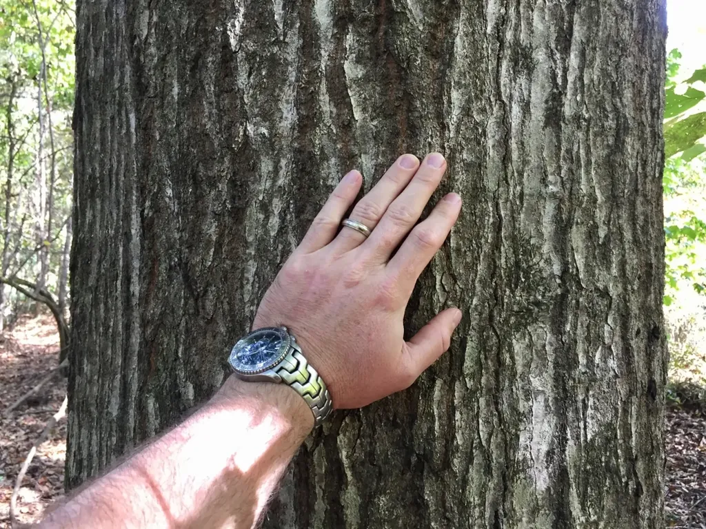 0 Private Road Off Bolen Town Rod Jackson AL 36545