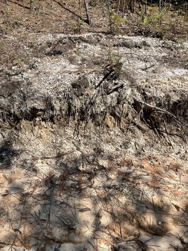 0 Bridlepath Road Jackson AL 36545