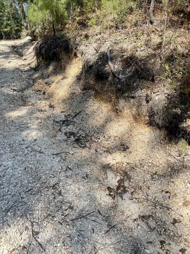 0 Bridlepath Road Jackson AL 36545