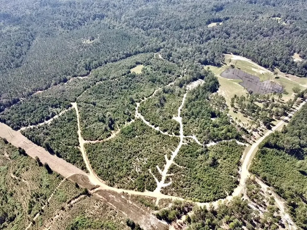 0 Bridlepath Road Jackson AL 36545