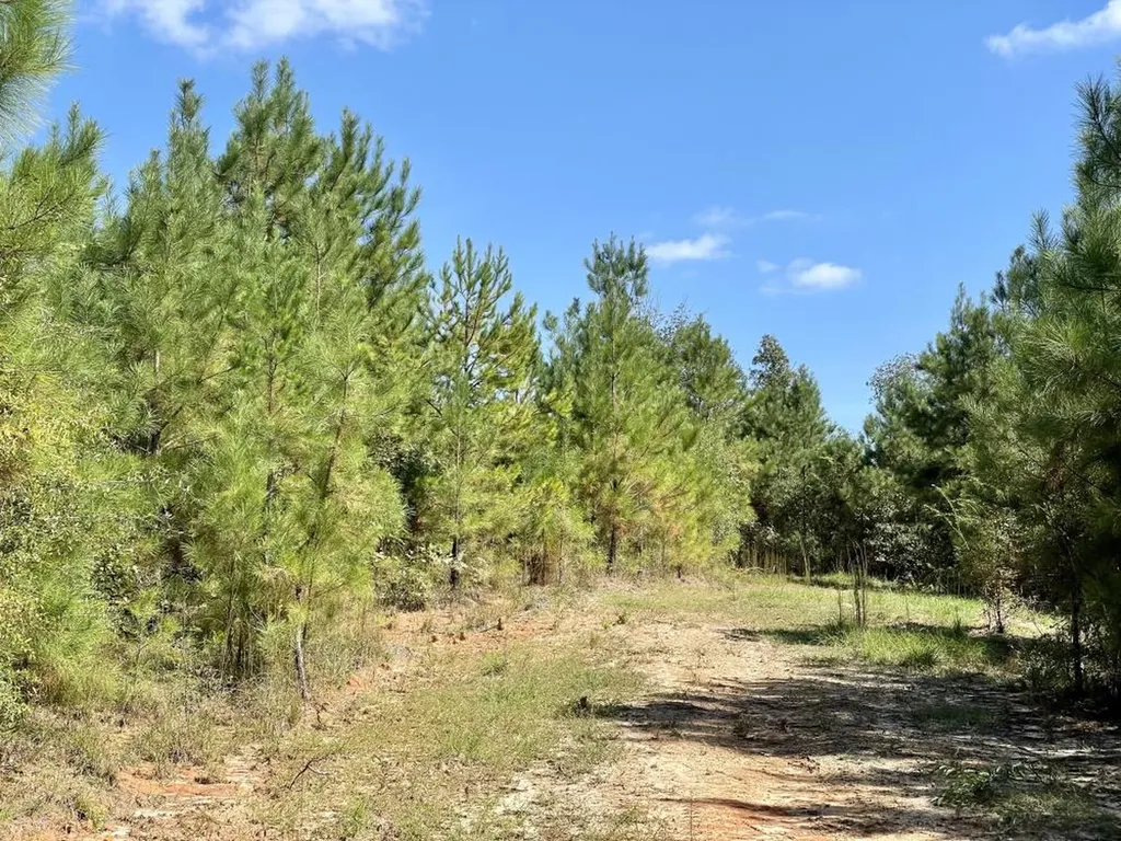 0 Bridlepath Road Jackson AL 36545