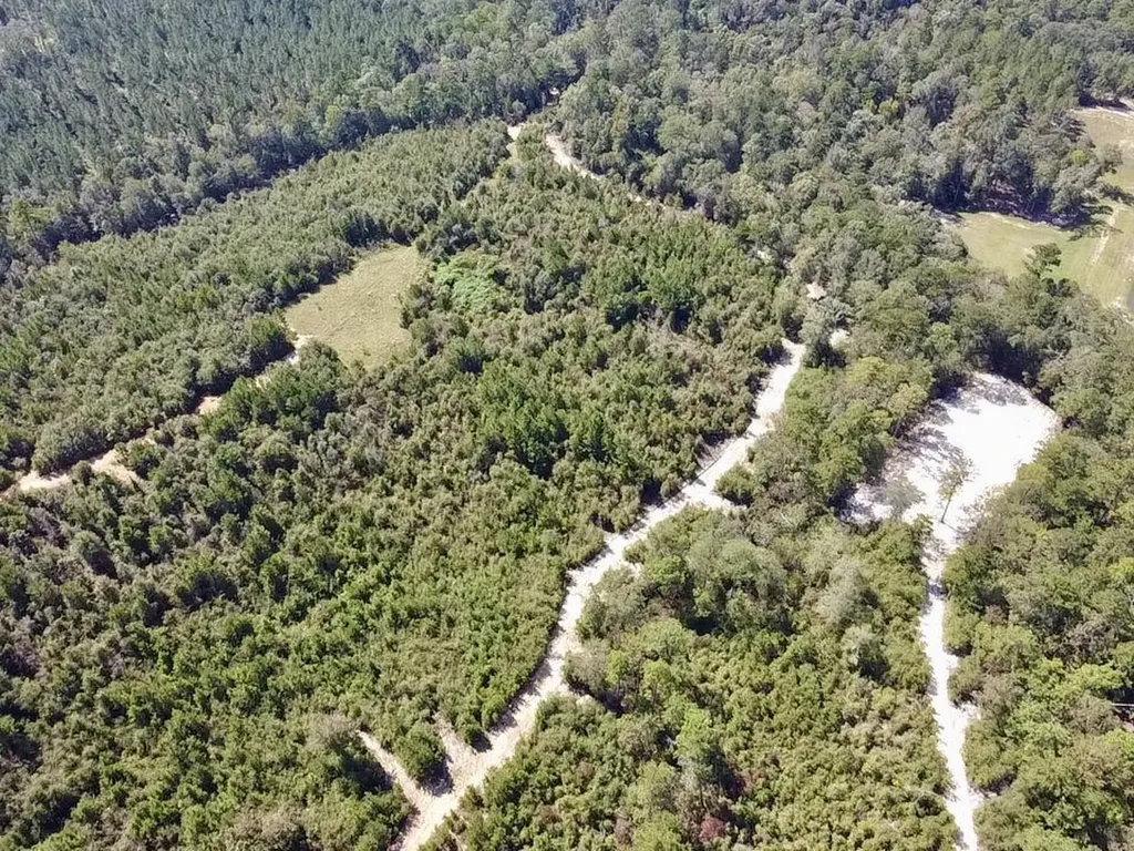 0 Bridlepath Road Jackson AL 36545