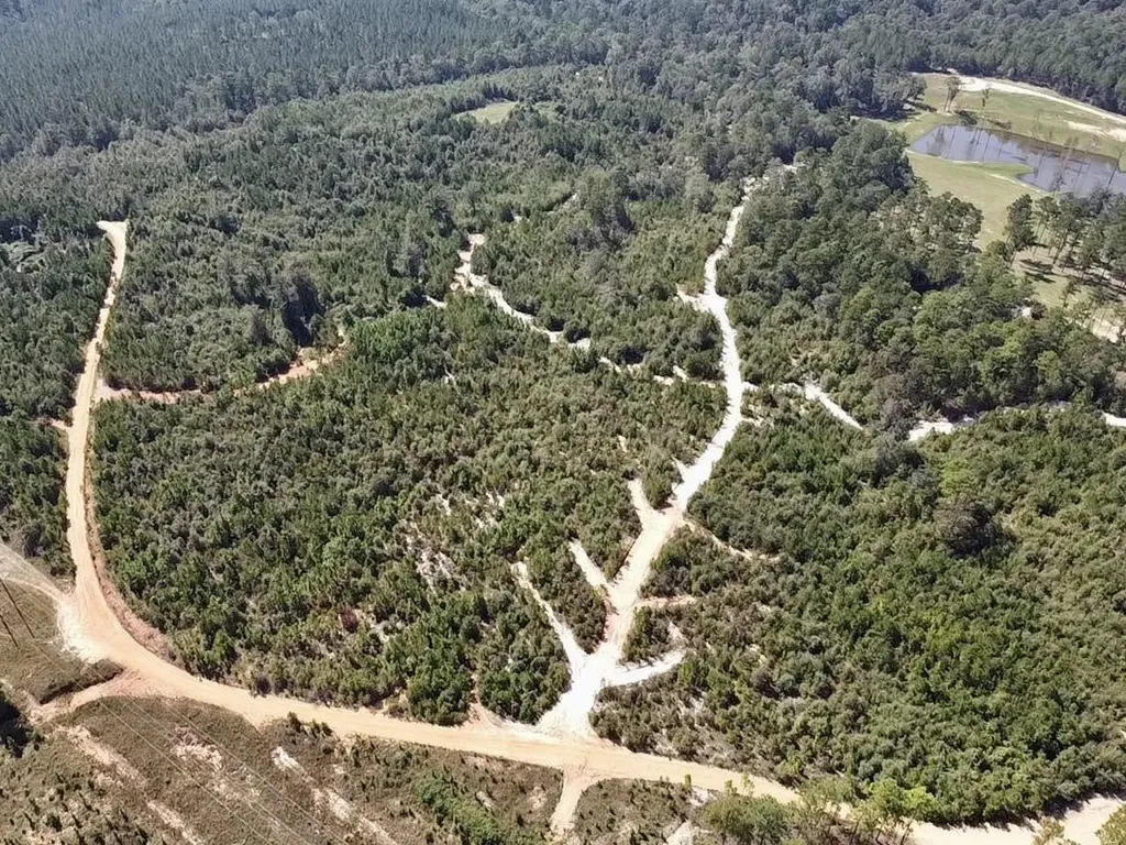 0 Bridlepath Road Jackson AL 36545